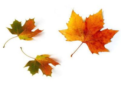 Poslední volné pokoje